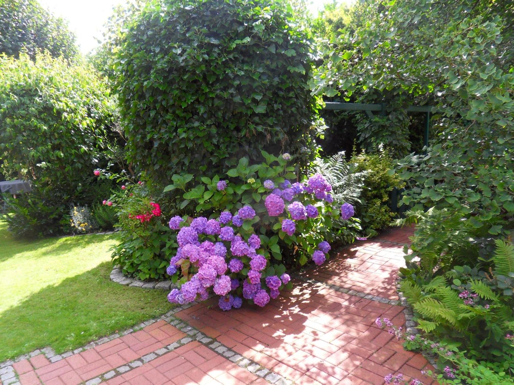Ferienhaus Von Bargen كوكسهافن المظهر الخارجي الصورة